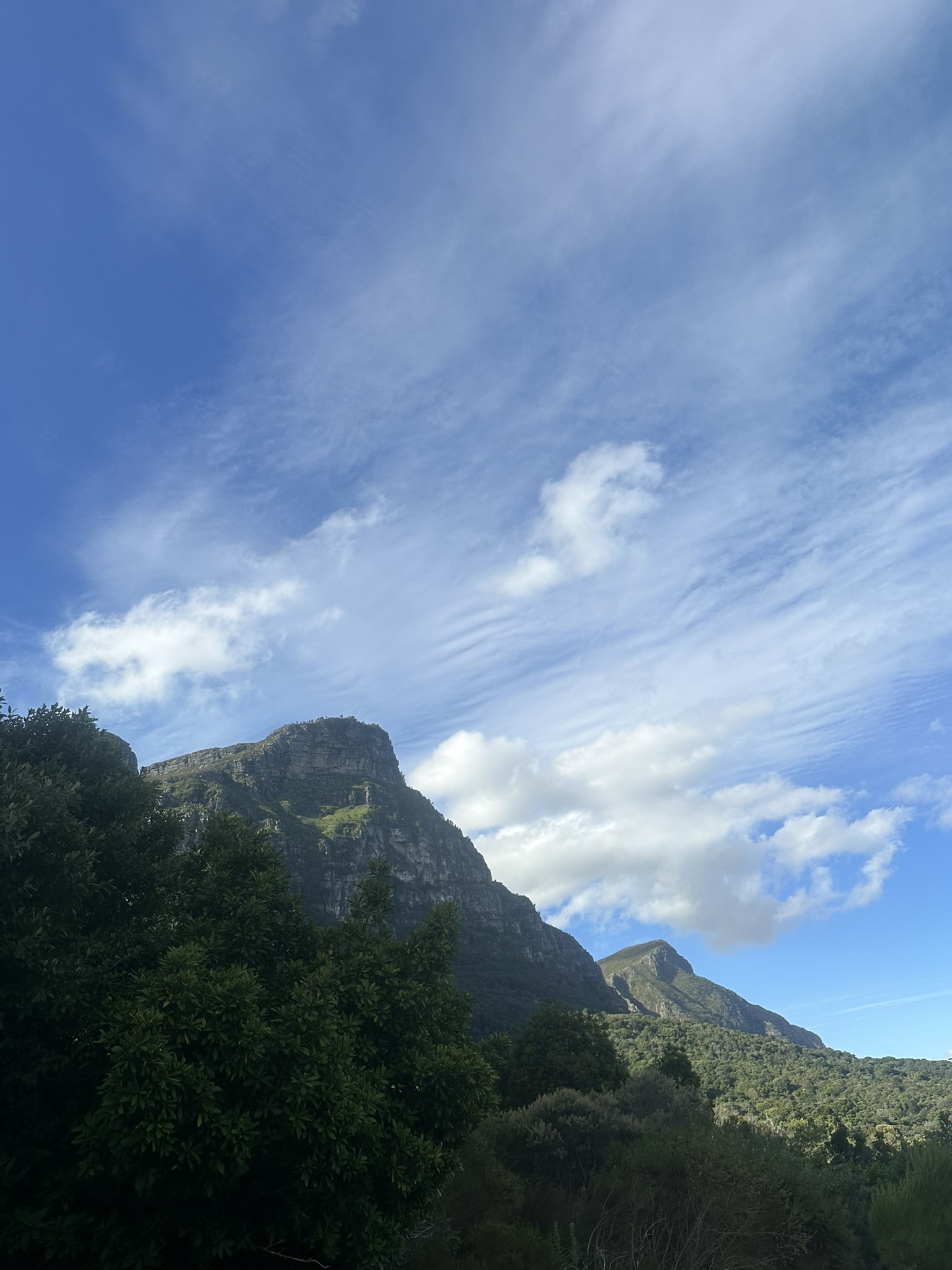 South Africa - Image 724